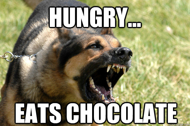 Hungry... EATS CHOCOLATE  