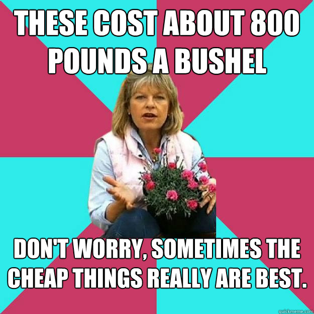 These cost about 800 pounds a bushel Don't worry, sometimes the cheap things really are best. - These cost about 800 pounds a bushel Don't worry, sometimes the cheap things really are best.  SNOB MOTHER-IN-LAW