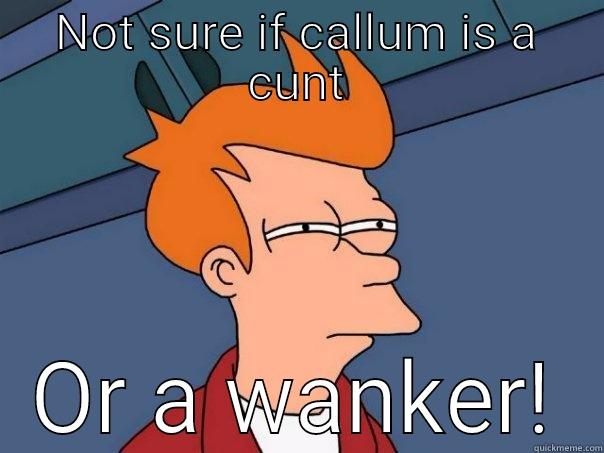 NOT SURE IF CALLUM IS A CUNT OR A WANKER! Futurama Fry