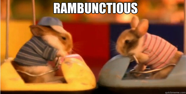 rambunctious
  Rambunctious Bunnies