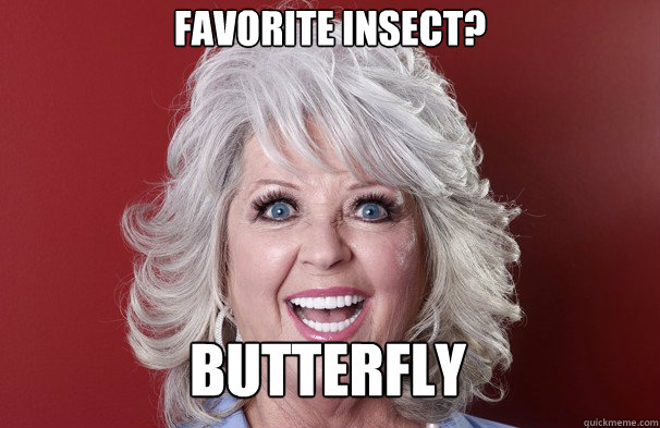 Favorite Insect? BUTTERFLY  Crazy Paula Deen