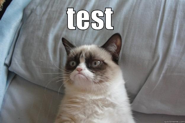 TEST  Grumpy Cat