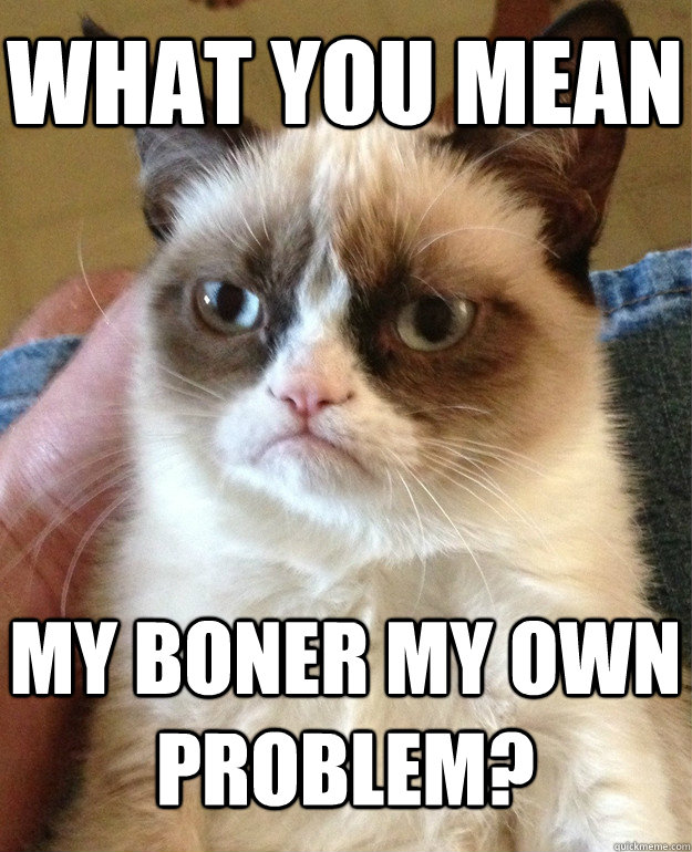 What you mean My boner my own problem? - What you mean My boner my own problem?  Grumpy Cat