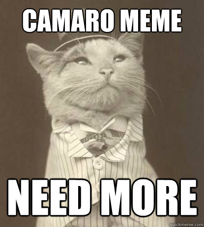 camaro meme need more  Aristocat