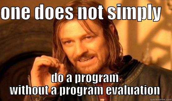 ONE DOES NOT SIMPLY    DO A PROGRAM WITHOUT A PROGRAM EVALUATION Boromir