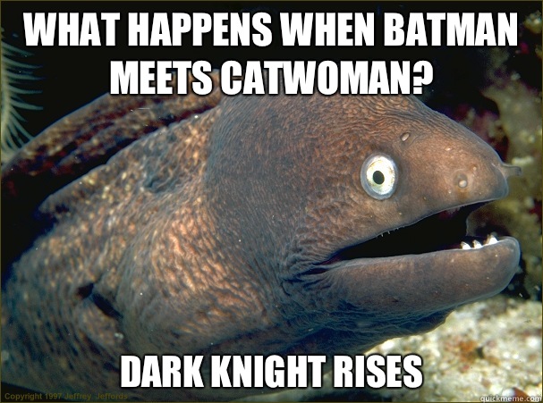 What happens when Batman meets Catwoman? Dark Knight Rises  Bad Joke Eel