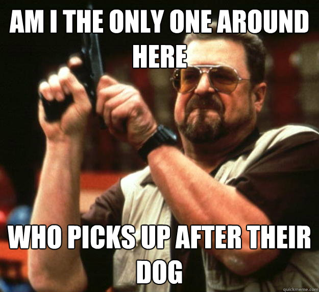 am I the only one around here Who picks up after their dog - am I the only one around here Who picks up after their dog  Angry Walter