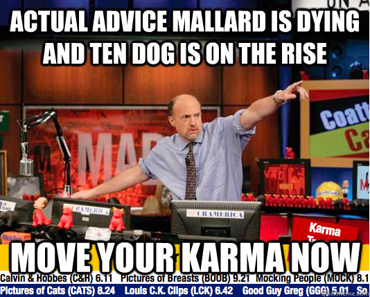 Actual Advice Mallard is dying and Ten dog is on the rise move your karma now  move your karma now