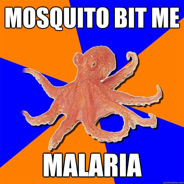 mosquito bit me  malaria  Online Diagnosis Octopus