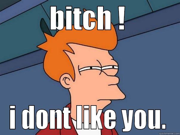 BITCH ! I DONT LIKE YOU. Futurama Fry