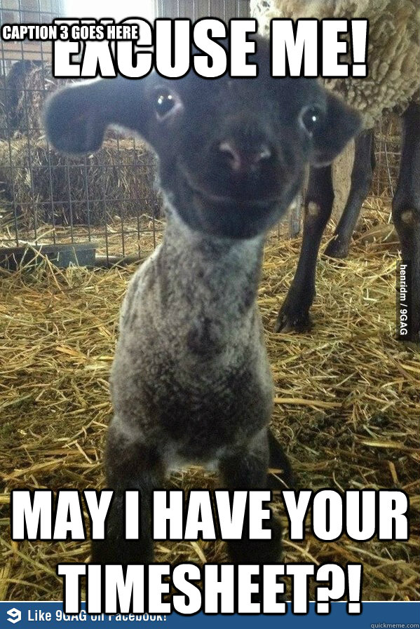 Excuse me! May I have your timesheet?! Caption 3 goes here