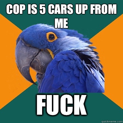 Cop is 5 cars up from me Fuck  Paranoid Parrot
