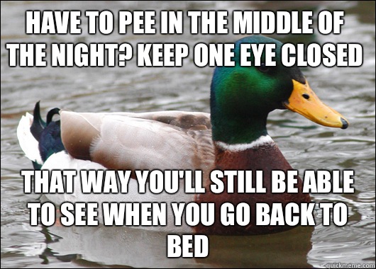 Have to pee in the middle of the night? Keep one eye closed  That way you'll still be able to see when you go back to bed  Actual Advice Mallard