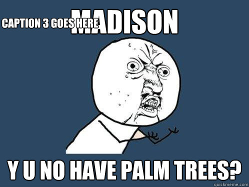 Madison  y u no have Palm Trees? Caption 3 goes here  Y U No