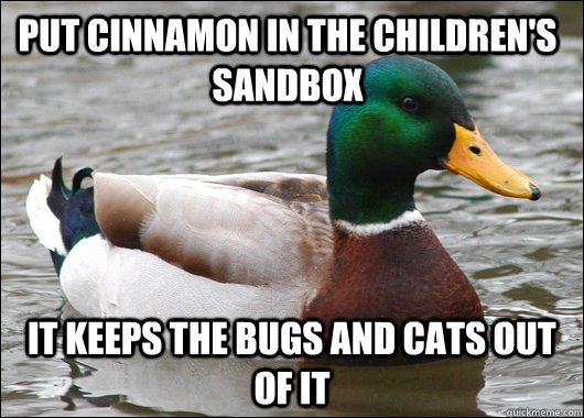 put cinnamon in the children's sandbox it keeps the bugs and cats out of it  Actual Advice Mallard