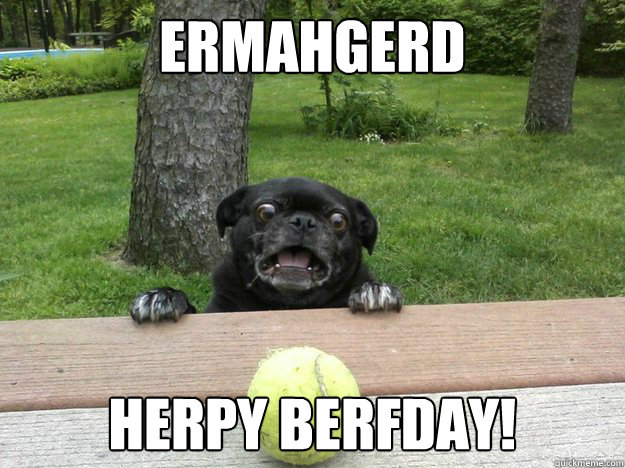 Ermahgerd HERPY BERFDAY!  Berks Dog
