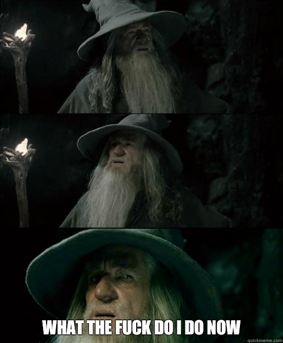  What the fuck do I do now -  What the fuck do I do now  Confused Gandalf