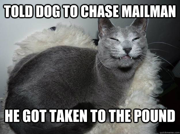 Told dog to chase mailman he got taken to the pound  