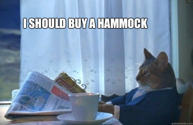 I should buy a hammock - I should buy a hammock  Sophisticated Cat