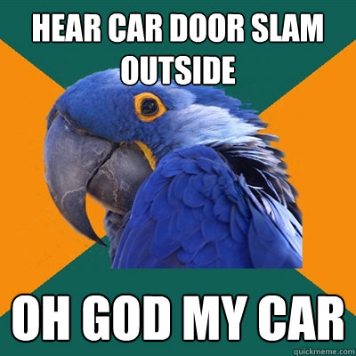 hear car door slam outside oh god my car  Paranoid Parrot