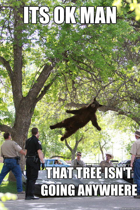 Its ok man that tree isn't going anywhere  Boulder Bear