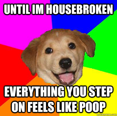 Until IM housebroken everything you step on feels like poop  Advice Dog