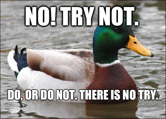 No! Try not.  Do, or do not. There is no try.
  Actual Advice Mallard
