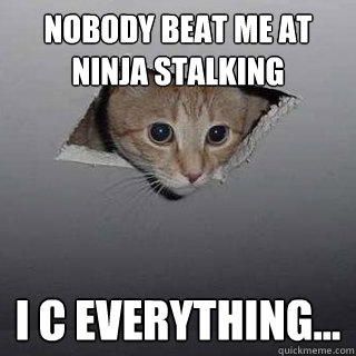Nobody beat me at ninja stalking i c everything...  Ceiling Cat