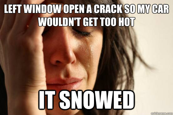 left window open a crack so my car wouldn't get too hot It snowed  First World Problems