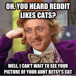 Oh, you heard reddit likes cats? well, I can't wait to see your picture of your Aunt Betsy's cat  Condescending Wonka