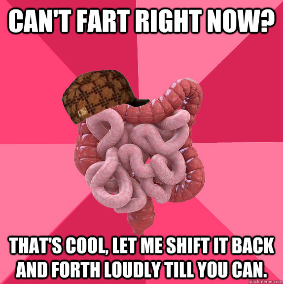 Can't fart right now? That's cool, let me shift it back and forth loudly till you can.  Scumbag Intestines