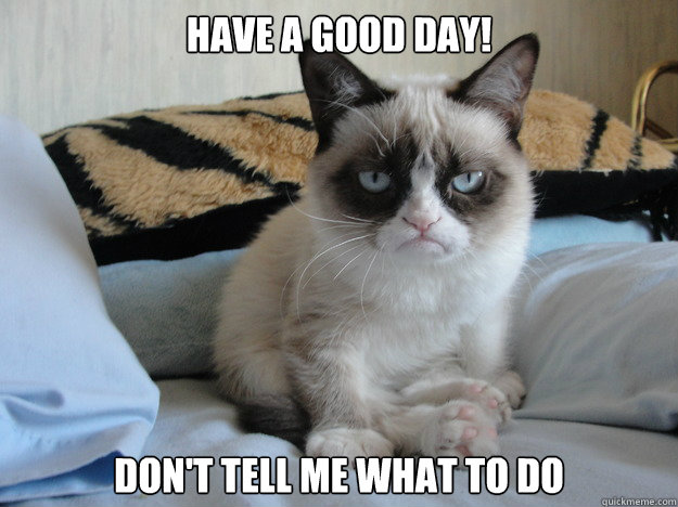 Have a good day! Don't tell me what to do  Grumpy cat in the morning