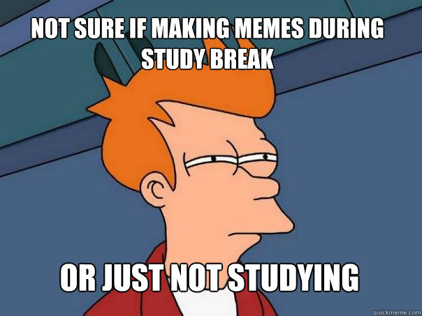 Not sure if making memes during study break Or just not studying   Futurama Fry