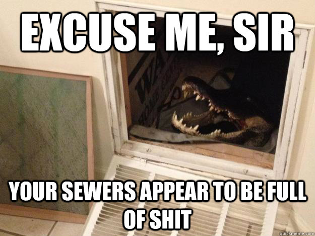 Excuse me, Sir Your sewers appear to be full of shit - Excuse me, Sir Your sewers appear to be full of shit  Questioning croc
