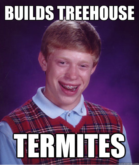 builds treehouse termites  Bad Luck Brian