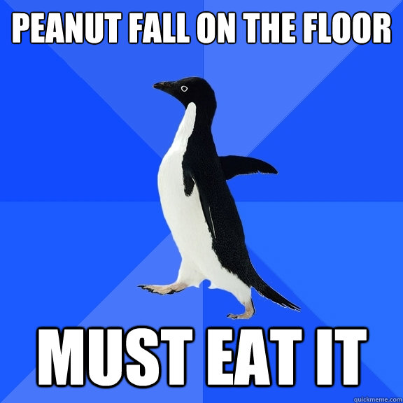 Peanut fall on the floor must eat it  Socially Awkward Penguin
