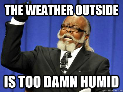 The Weather outside is too damn humid  