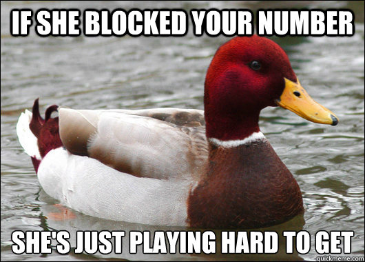 If she blocked your number she's just playing hard to get
  Malicious Advice Mallard