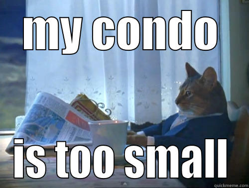 fancy condo - MY CONDO IS TOO SMALL The One Percent Cat
