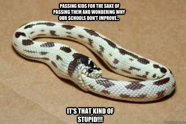   Passing kids for the sake of passing them and wondering why our schools don't improve... It's THAT kind of stupid!!!  