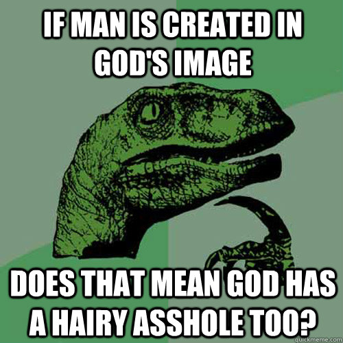 If man is created in God's image Does that mean god has a hairy asshole too?  Philosoraptor