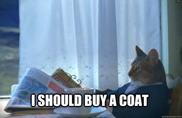 I should buy a coat  Sophisticated Cat
