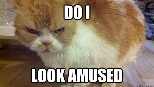 Do I  Look Amused - Do I  Look Amused  Misc