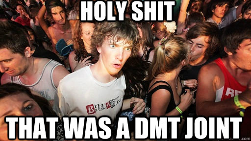 holy shit THAT WAS A DMT JOINT  Sudden Clarity Clarence