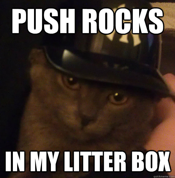 push rocks in my litter box  Ghetto Cat
