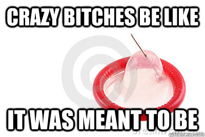Crazy Bitches be like It was meant to be - Crazy Bitches be like It was meant to be  Misc