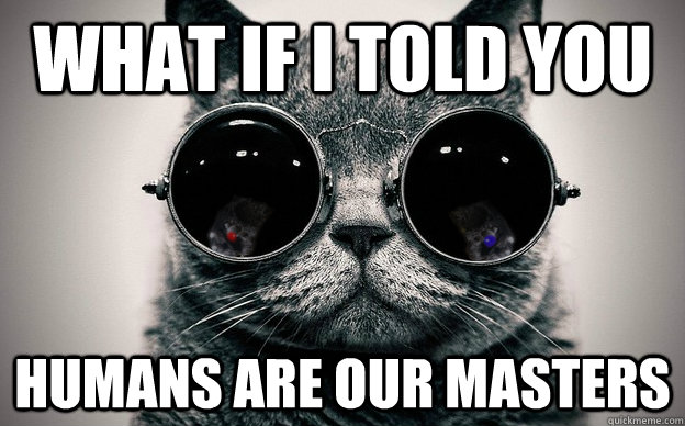 What if i told you Humans are our masters  Cat morpheus plus paws