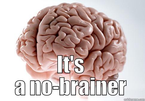 early childhood education -  IT'S A NO-BRAINER Scumbag Brain