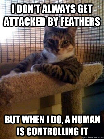 I don't always get attacked by feathers but when I do, a human is controlling it  The Most Interesting Cat in the World