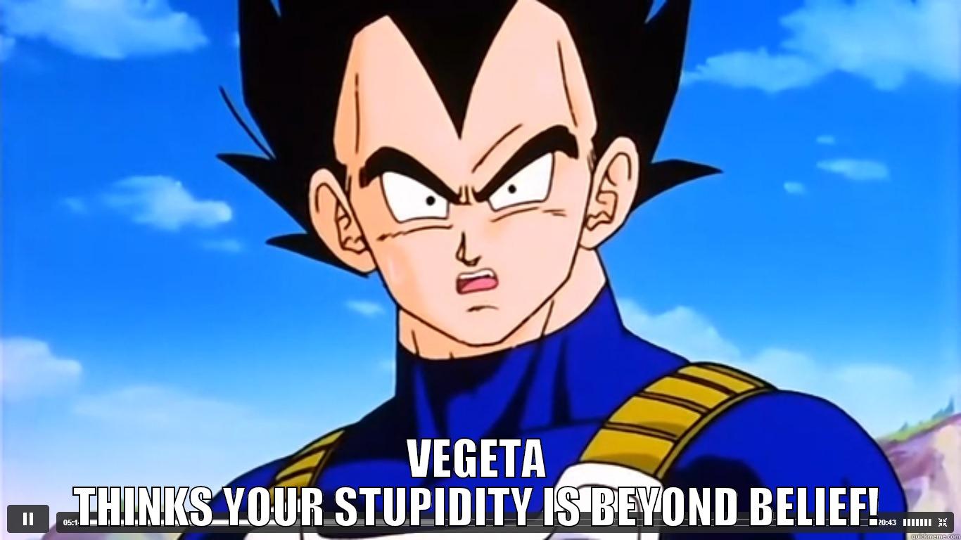 Vegeta and Stupidity -  VEGETA THINKS YOUR STUPIDITY IS BEYOND BELIEF! Misc